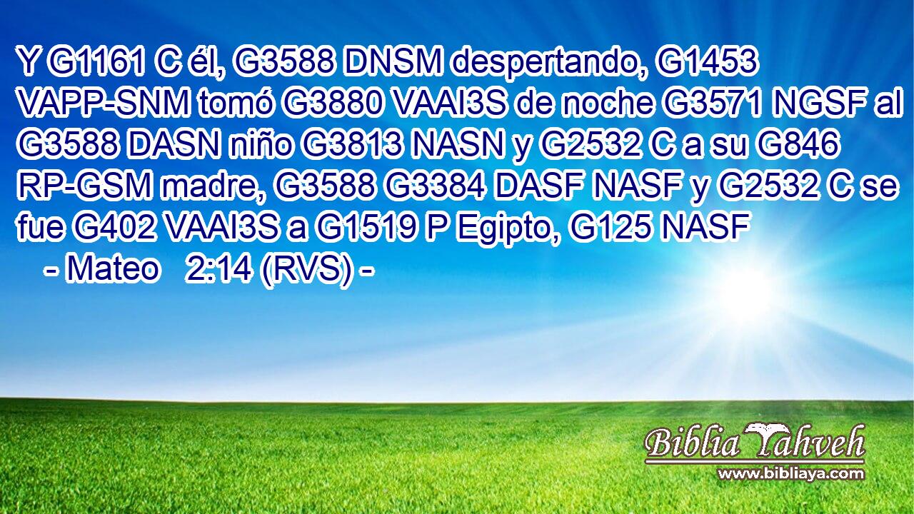 Y G1161 C él, G3588 DNSM despertando, G1453 VAPP-SNM tomó G3880 VAAI3S de noche G3571 NGSF al G3588 DASN niño G3813 NASN y G2532 C a su G846 RP-GSM madre, G3588 G3384 DASF NASF y G2532 C se fue G402 VAAI3S a G1519 P Egipto, G125 NASF 