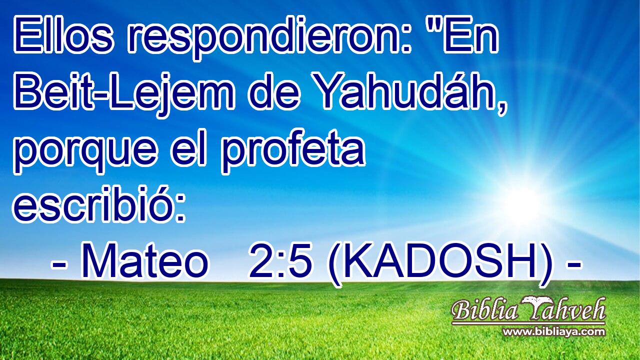  Ellos respondieron: 