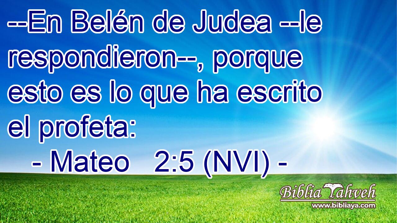  --En Belén de Judea --le respondieron--, porque esto es lo que ha escrito el profeta: 