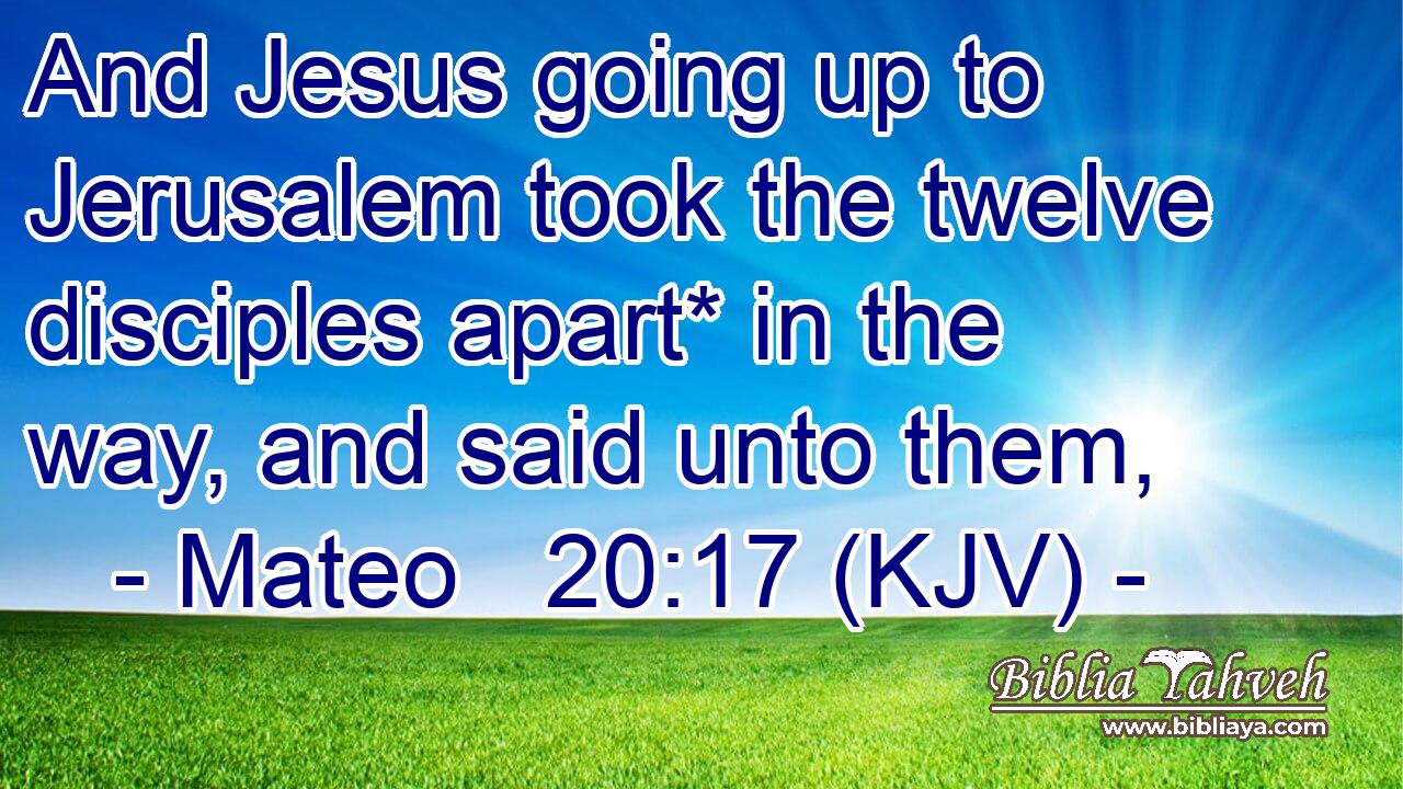 And Jesus going up to Jerusalem took the twelve disciples apart* in the way, and said unto them,