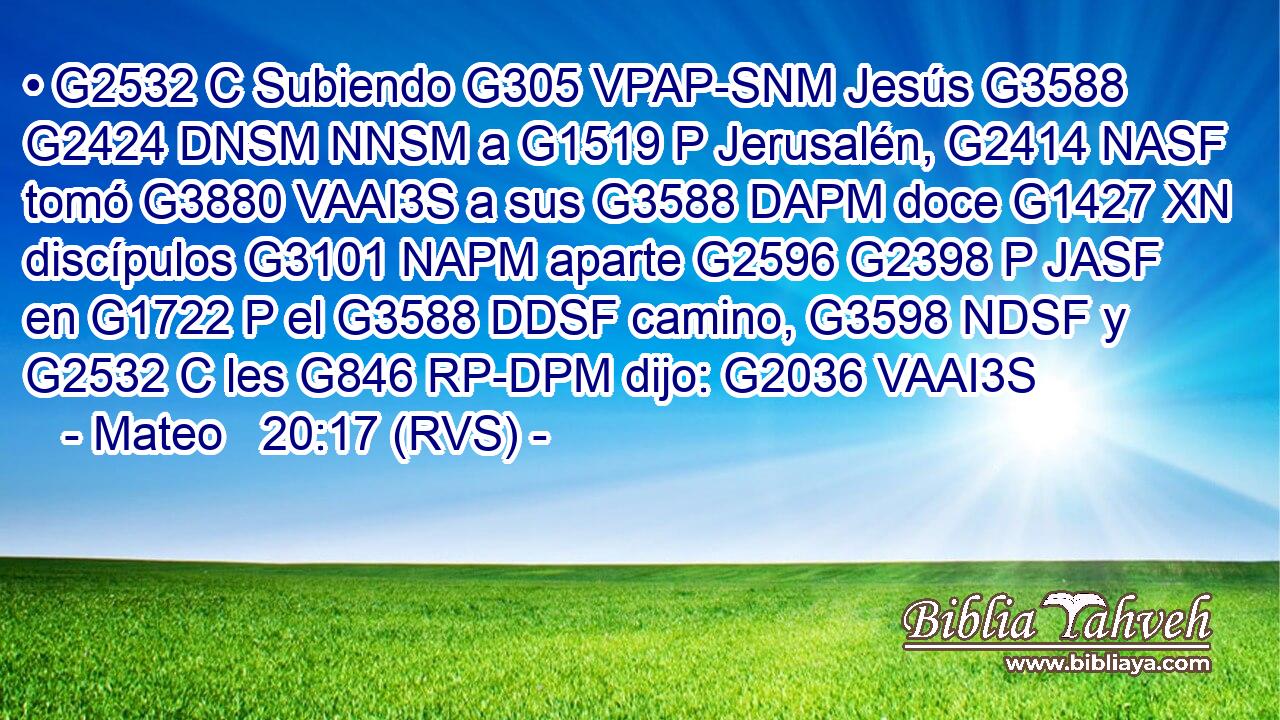 • G2532 C Subiendo G305 VPAP-SNM Jesús G3588 G2424 DNSM NNSM a G1519 P Jerusalén, G2414 NASF tomó G3880 VAAI3S a sus G3588 DAPM doce G1427 XN discípulos G3101 NAPM aparte G2596 G2398 P JASF en G1722 P el G3588 DDSF camino, G3598 NDSF y G2532 C les G846 RP-DPM dijo: G2036 VAAI3S 