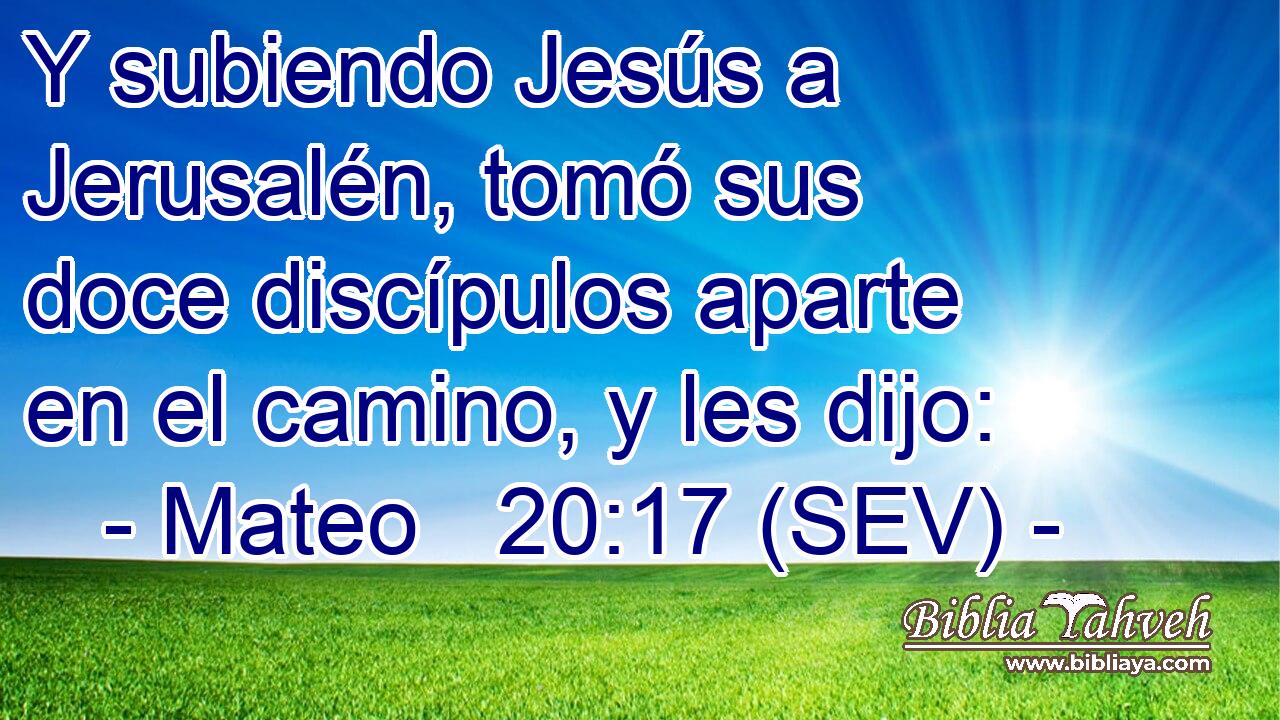 Y subiendo Jesús a Jerusalén, tomó sus doce discípulos aparte en el camino, y les dijo: