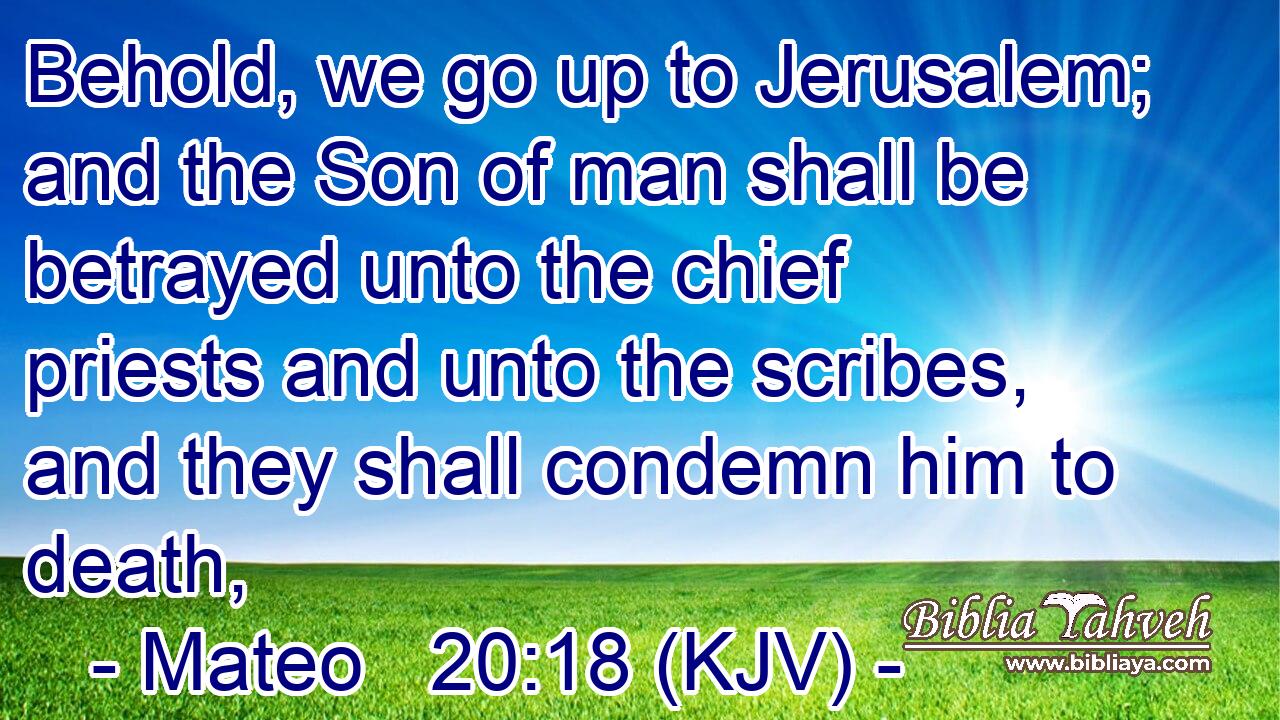 Behold, we go up to Jerusalem; and the Son of man shall be betrayed unto the chief priests and unto the scribes, and they shall condemn him to death,
