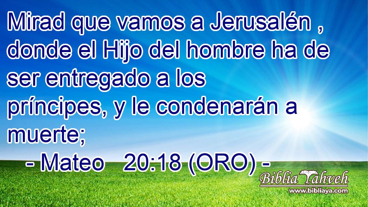  Mirad que vamos a Jerusalén , donde el Hijo del hombre ha de ser entregado a los príncipes, y le condenarán a muerte; 