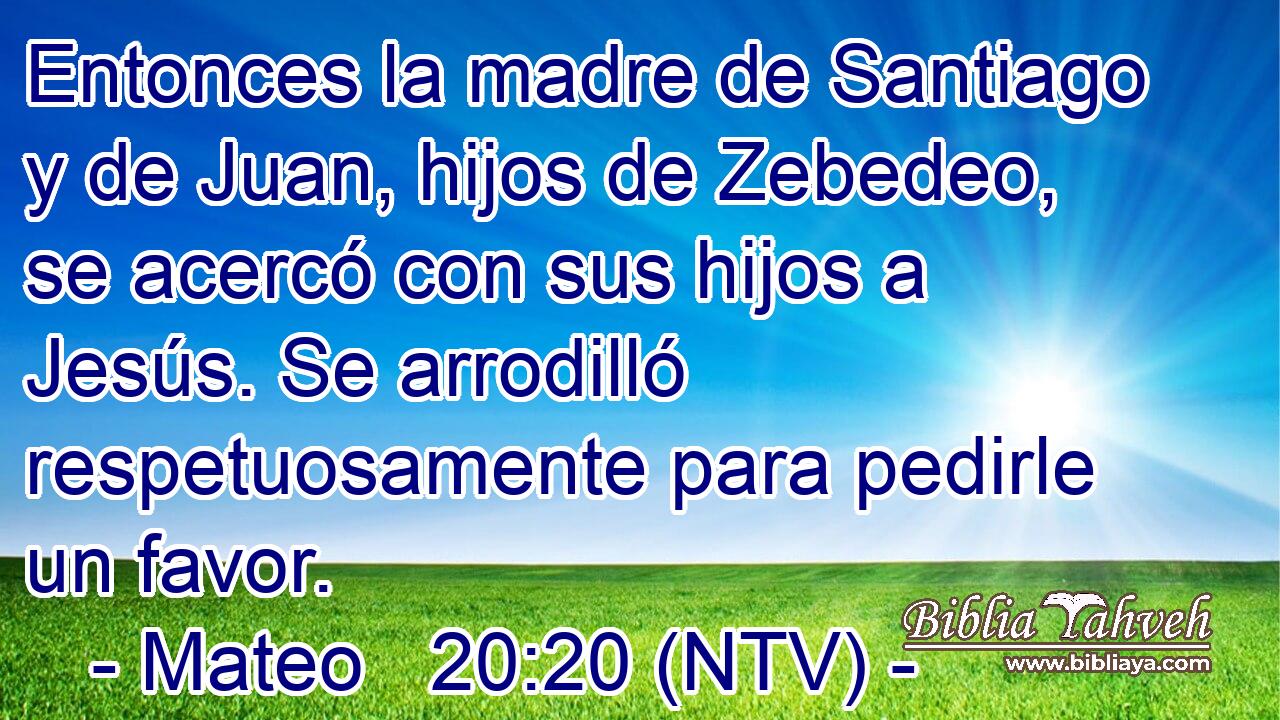 Entonces la madre de Santiago y de Juan, hijos de Zebedeo, se acercó con sus hijos a Jesús. Se arrodilló respetuosamente para pedirle un favor.