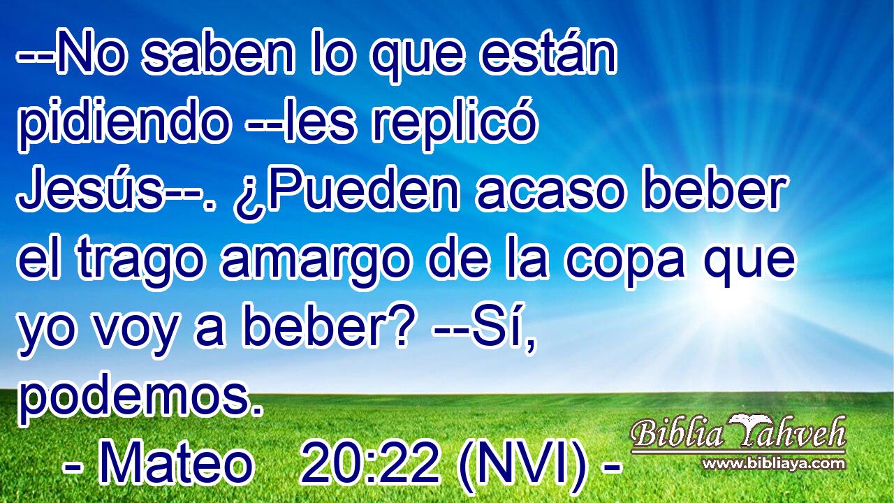  --No saben lo que están pidiendo --les replicó Jesús--. ¿Pueden acaso beber el trago amargo de la copa que yo voy a beber? --Sí, podemos. 