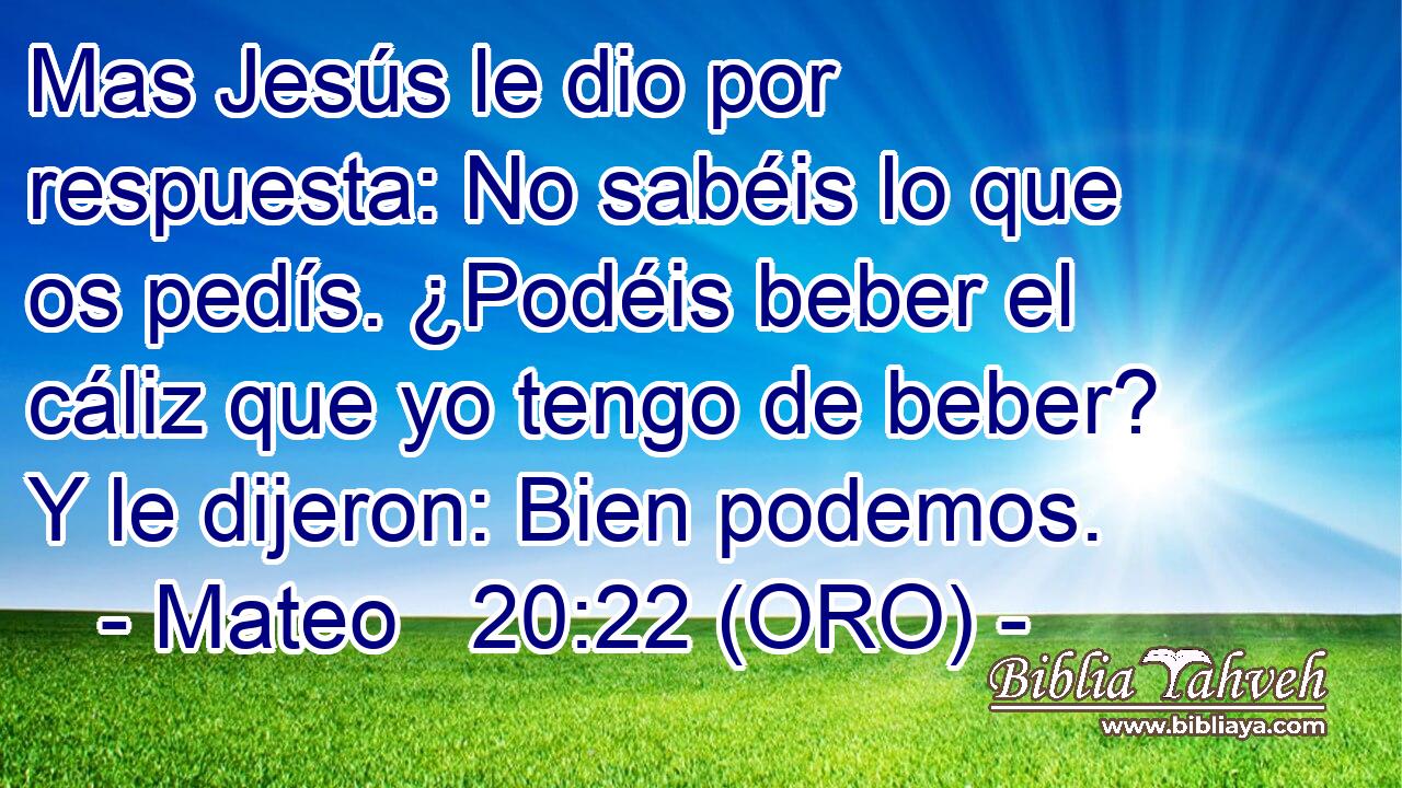  Mas Jesús le dio por respuesta: No sabéis lo que os pedís. ¿Podéis beber el cáliz que yo tengo de beber? Y le dijeron: Bien podemos. 