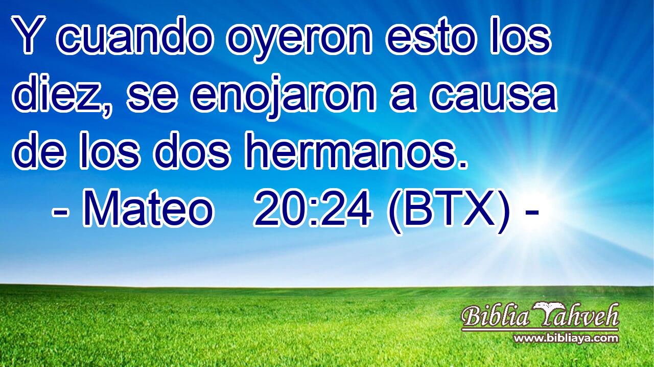 Y cuando oyeron esto los diez, se enojaron a causa de los dos hermanos.