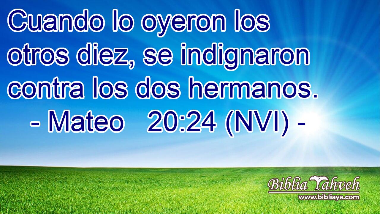  Cuando lo oyeron los otros diez, se indignaron contra los dos hermanos. 