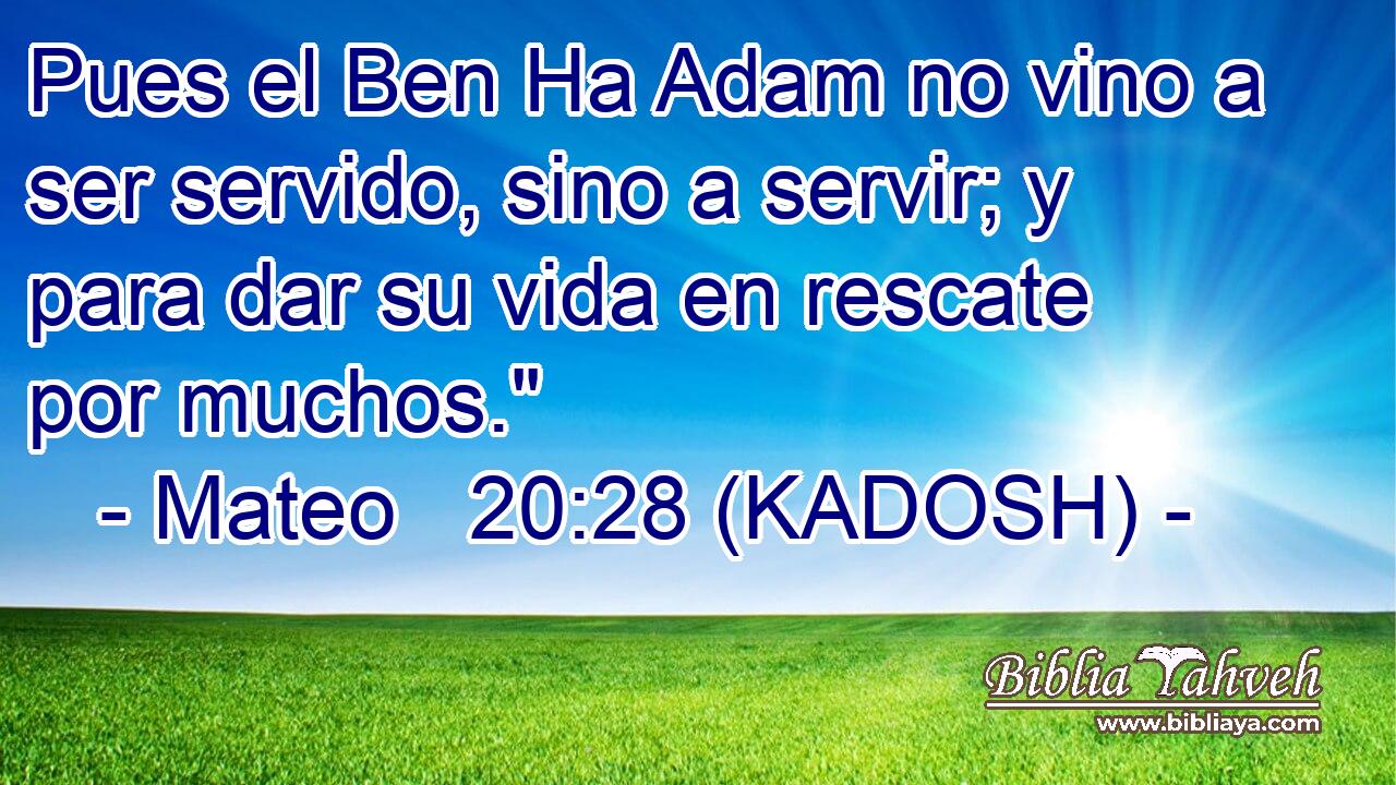  Pues el Ben Ha Adam no vino a ser servido, sino a servir; y para dar su vida en rescate por muchos.