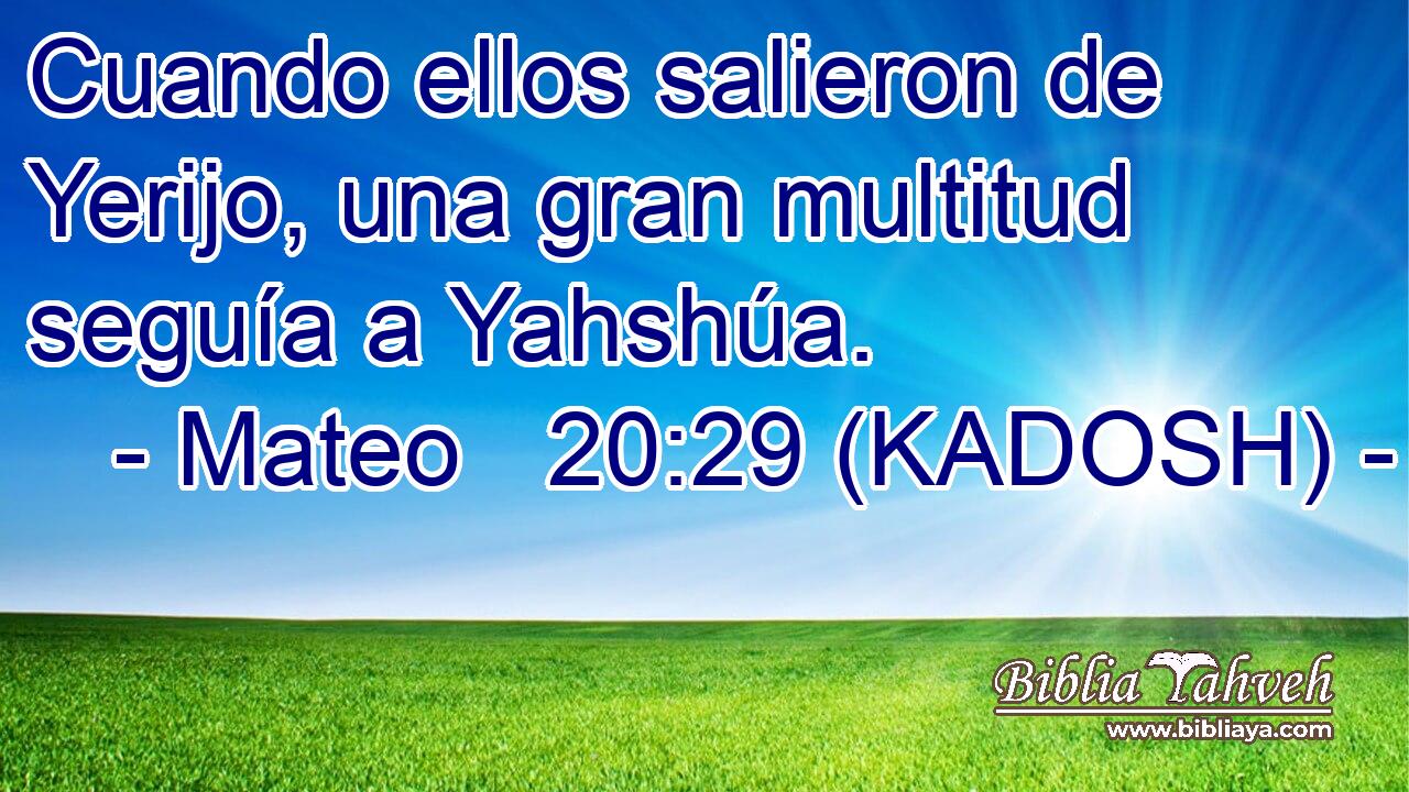  Cuando ellos salieron de Yerijo, una gran multitud seguía a Yahshúa. 