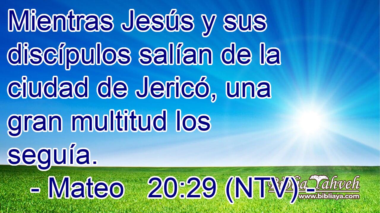 Mientras Jesús y sus discípulos salían de la ciudad de Jericó, una gran multitud los seguía.