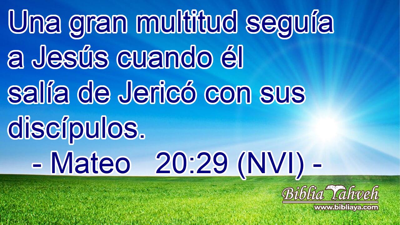  Una gran multitud seguía a Jesús cuando él salía de Jericó con sus discípulos. 