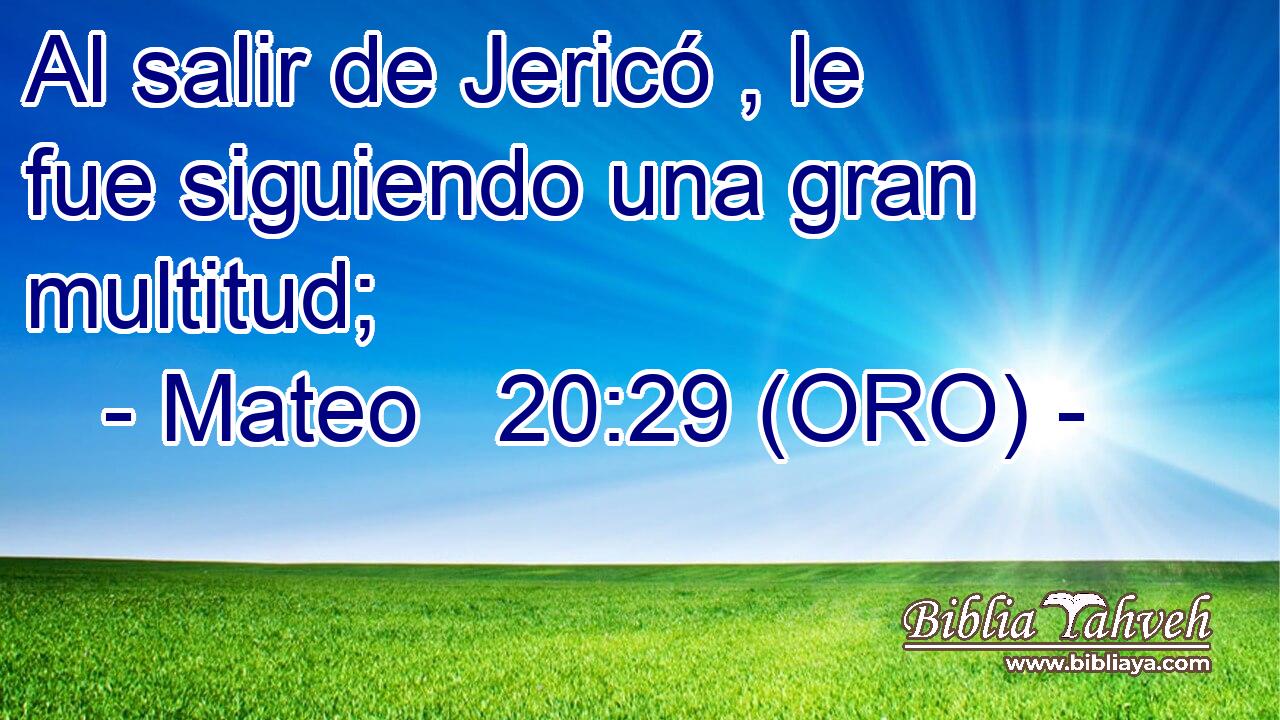  Al salir de Jericó , le fue siguiendo una gran multitud; 