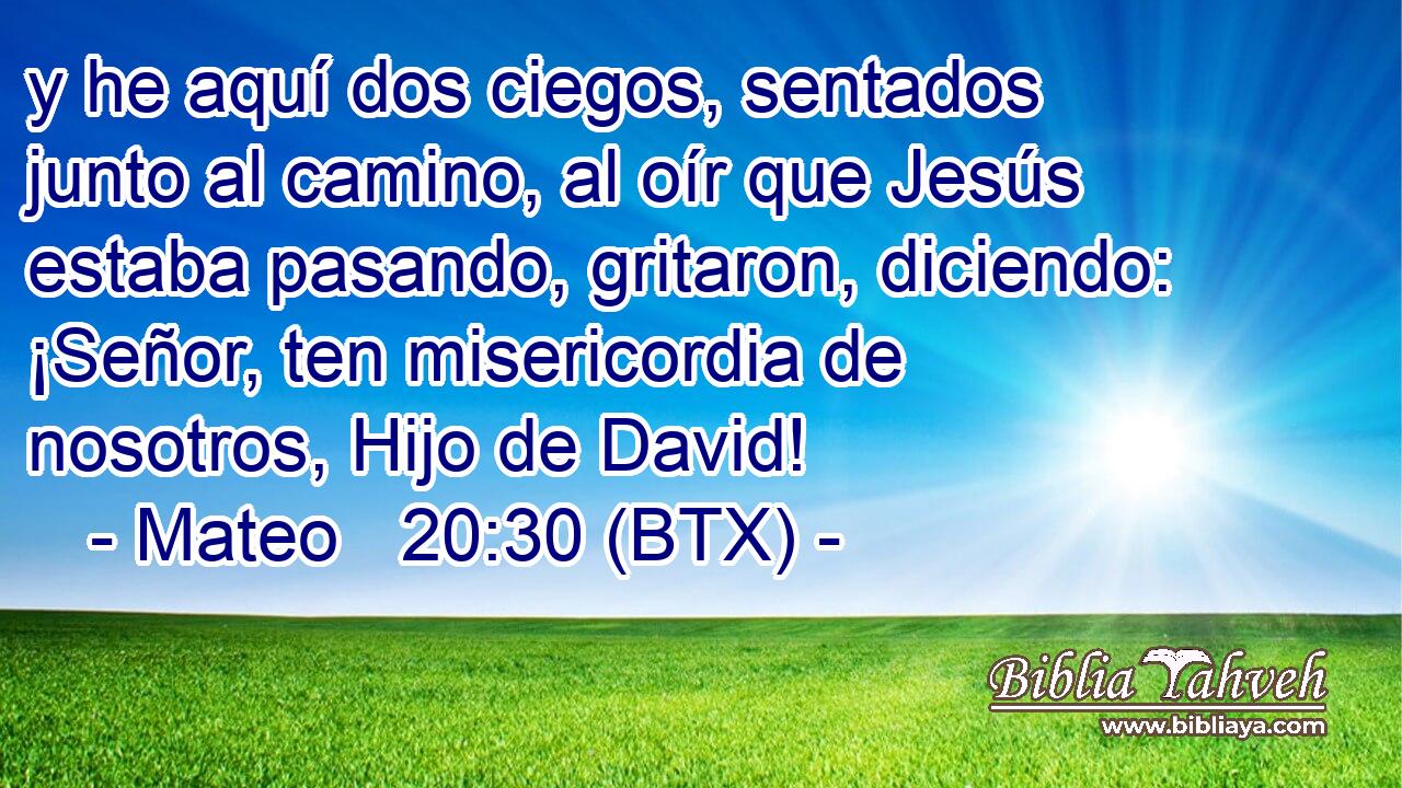 y he aquí dos ciegos, sentados junto al camino, al oír que Jesús estaba pasando, gritaron, diciendo: ¡Señor, ten misericordia de nosotros, Hijo de David!