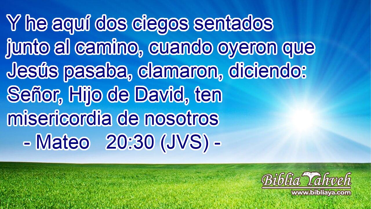 Y he aquí dos ciegos sentados junto al camino, cuando oyeron que Jesús pasaba, clamaron, diciendo: Señor, Hijo de David, ten misericordia de nosotros