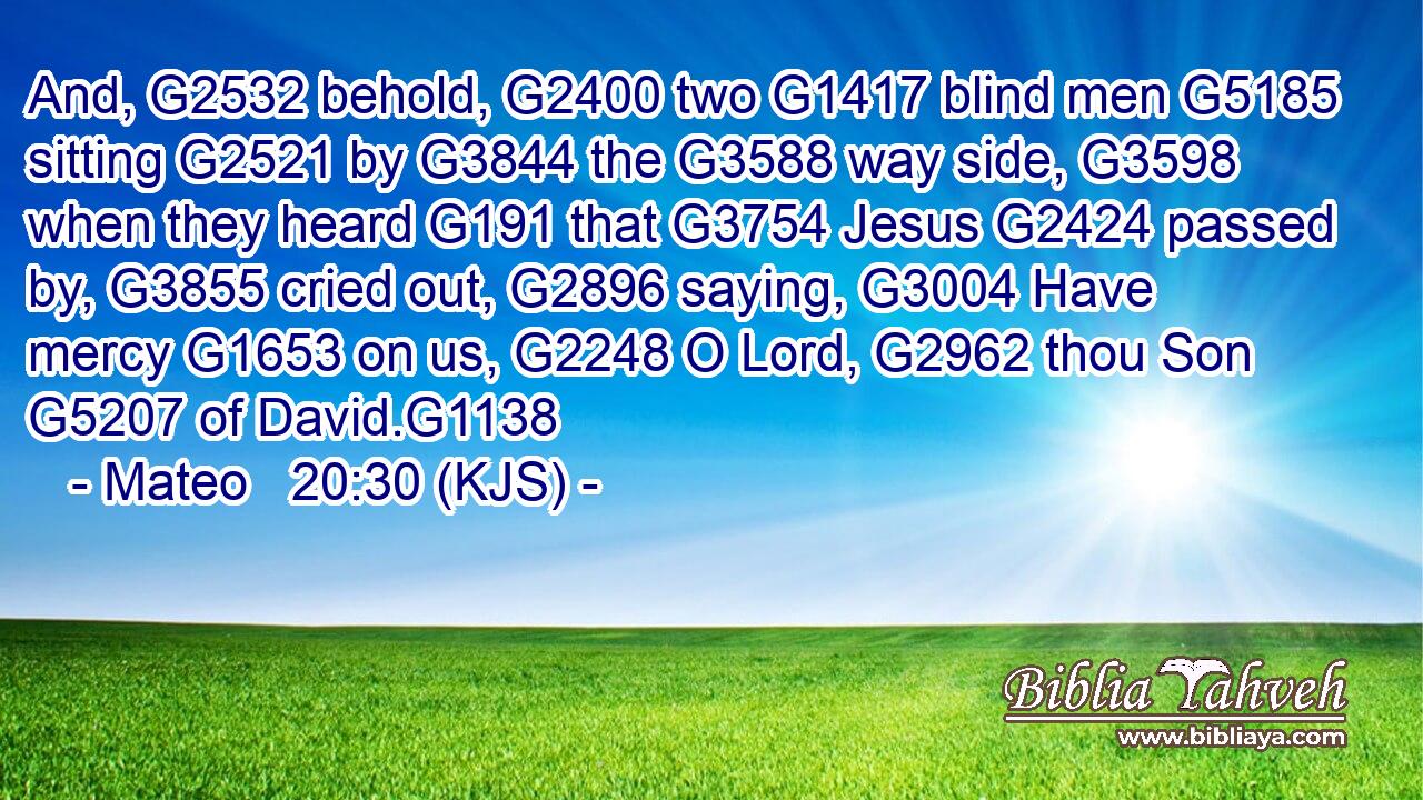 And, G2532 behold, G2400 two G1417 blind men G5185 sitting G2521 by G3844 the G3588 way side, G3598 when they heard G191 that G3754 Jesus G2424 passed by, G3855 cried out, G2896 saying, G3004 Have mercy G1653 on us, G2248 O Lord, G2962 thou Son G5207 of David.G1138