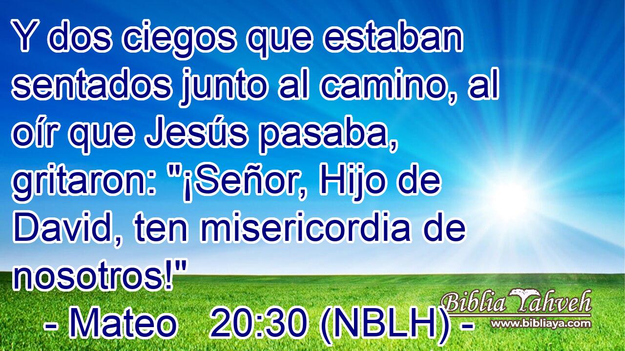  Y dos ciegos que estaban sentados junto al camino, al oír que Jesús pasaba, gritaron: 