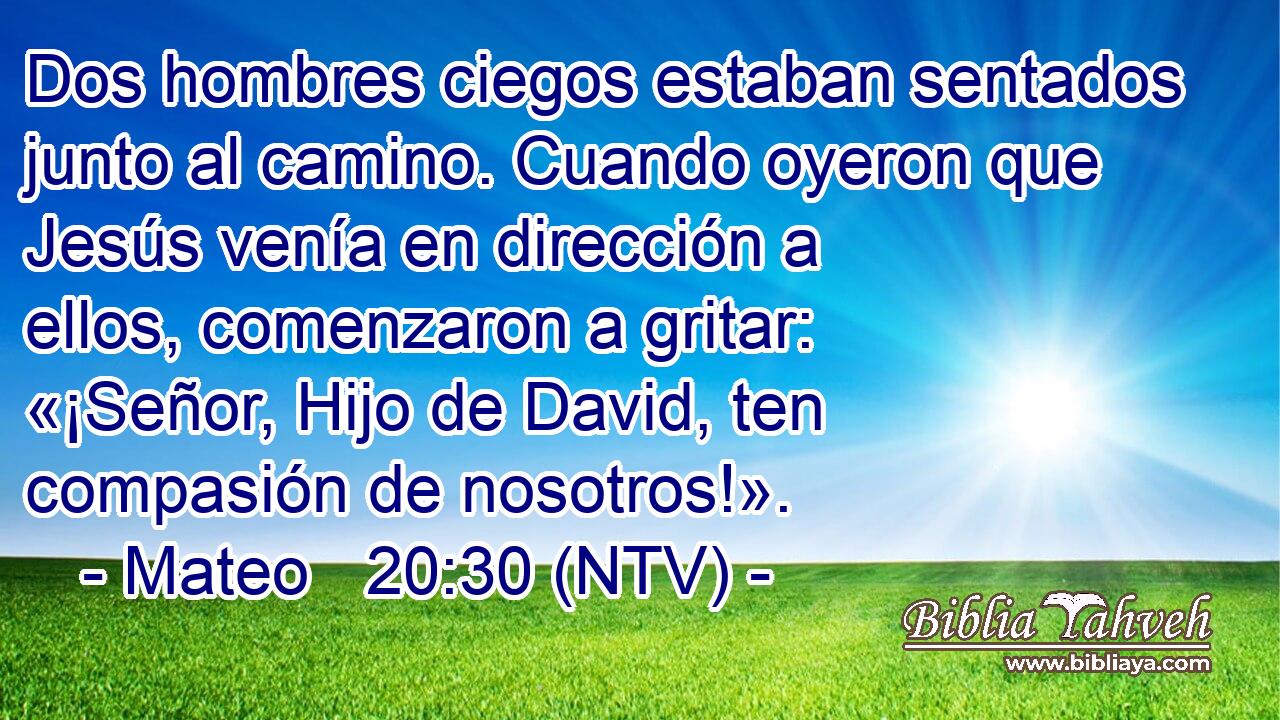 Dos hombres ciegos estaban sentados junto al camino. Cuando oyeron que Jesús venía en dirección a ellos, comenzaron a gritar: «¡Señor, Hijo de David, ten compasión de nosotros!».