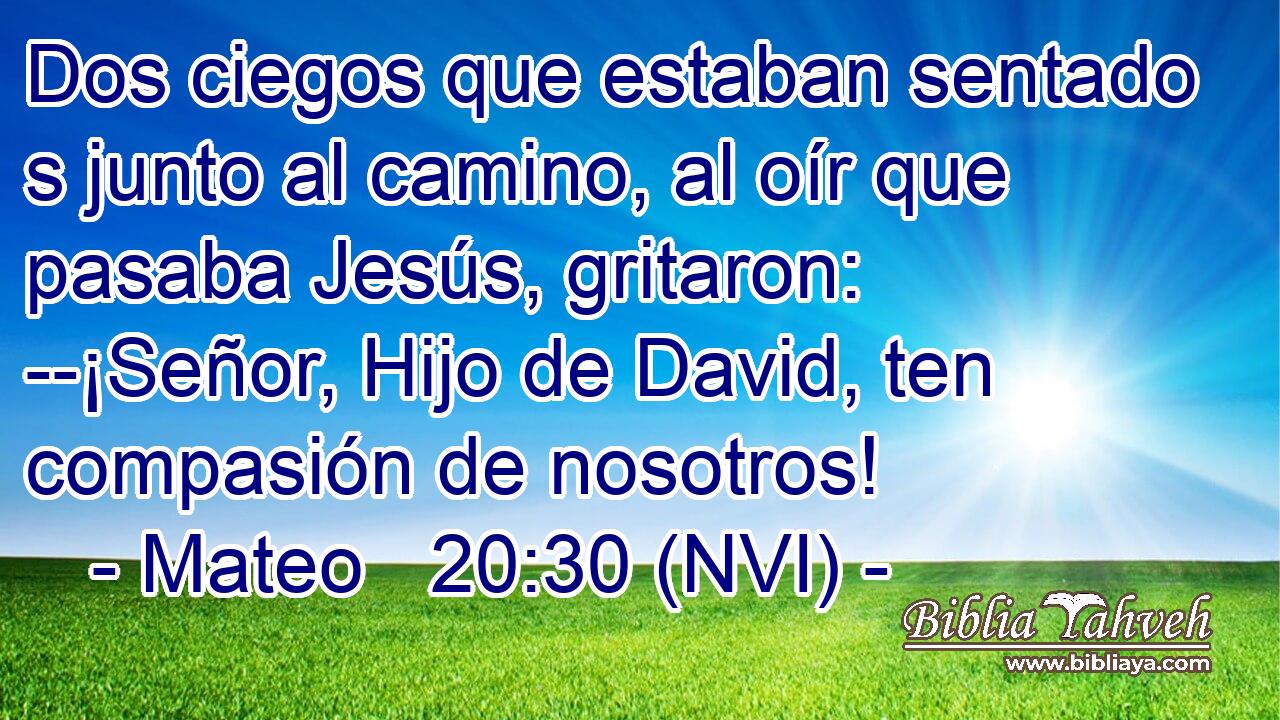  Dos ciegos que estaban sentado s junto al camino, al oír que pasaba Jesús, gritaron: --¡Señor, Hijo de David, ten compasión de nosotros! 