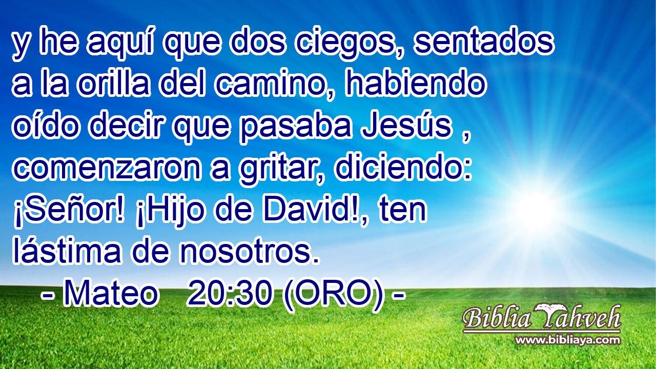  y he aquí que dos ciegos, sentados a la orilla del camino, habiendo oído decir que pasaba Jesús , comenzaron a gritar, diciendo: ¡Señor! ¡Hijo de David!, ten lástima de nosotros. 