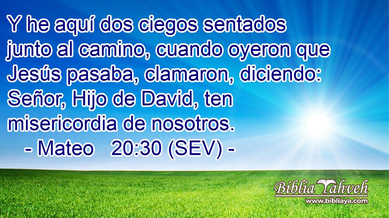 Y he aquí dos ciegos sentados junto al camino, cuando oyeron que Jesús pasaba, clamaron, diciendo: Señor, Hijo de David, ten misericordia de nosotros.