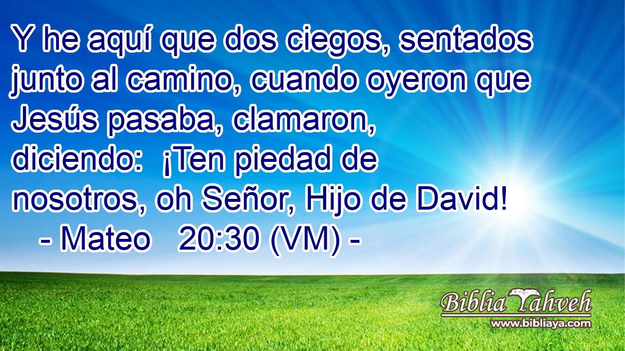  Y he aquí que dos ciegos, sentados junto al camino, cuando oyeron que Jesús pasaba, clamaron, diciendo:  ¡Ten piedad de nosotros, oh Señor, Hijo de David! 