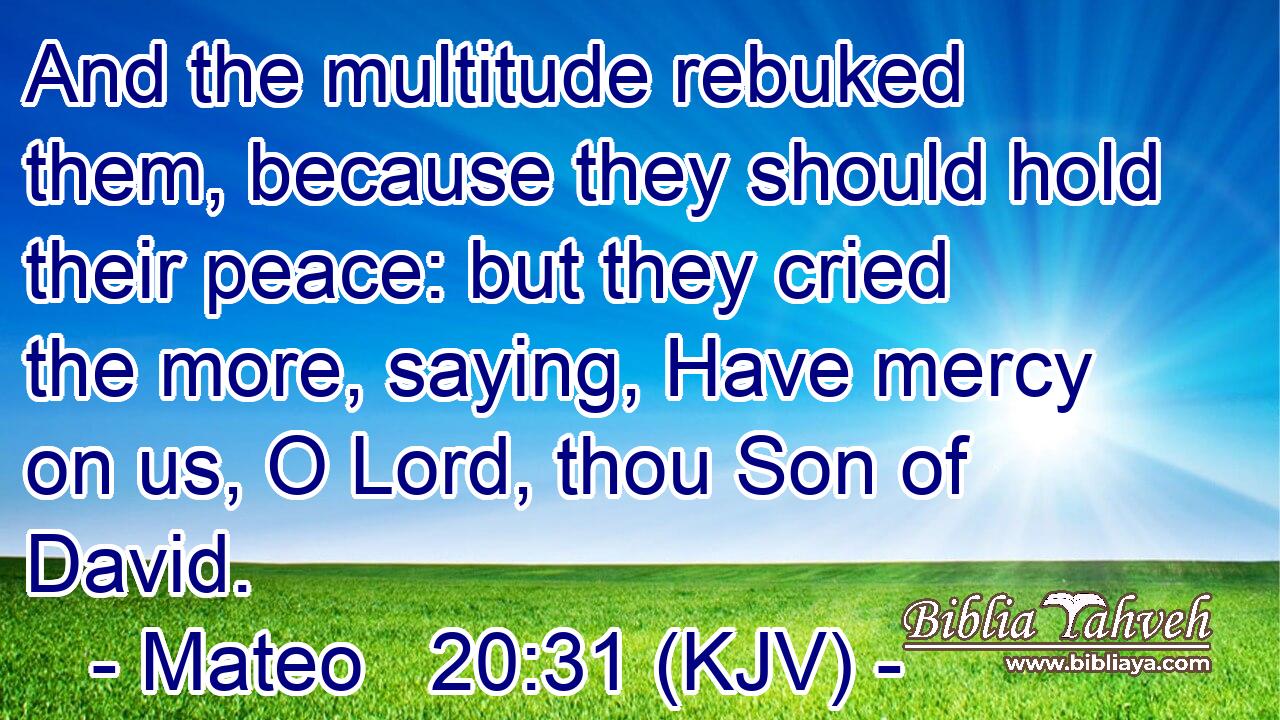And the multitude rebuked them, because they should hold their peace: but they cried the more, saying, Have mercy on us, O Lord, thou Son of David.