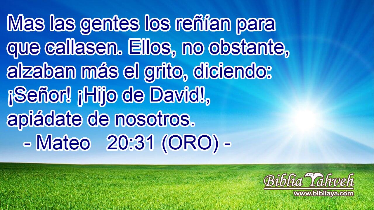  Mas las gentes los reñían para que callasen. Ellos, no obstante, alzaban más el grito, diciendo: ¡Señor! ¡Hijo de David!, apiádate de nosotros. 
