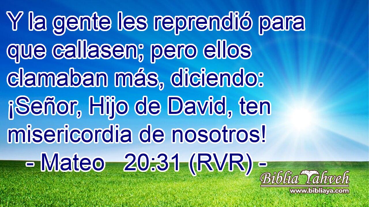 Y la gente les reprendió para que callasen; pero ellos clamaban más, diciendo: ¡Señor, Hijo de David, ten misericordia de nosotros!