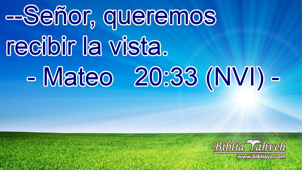  --Señor, queremos recibir la vista. 