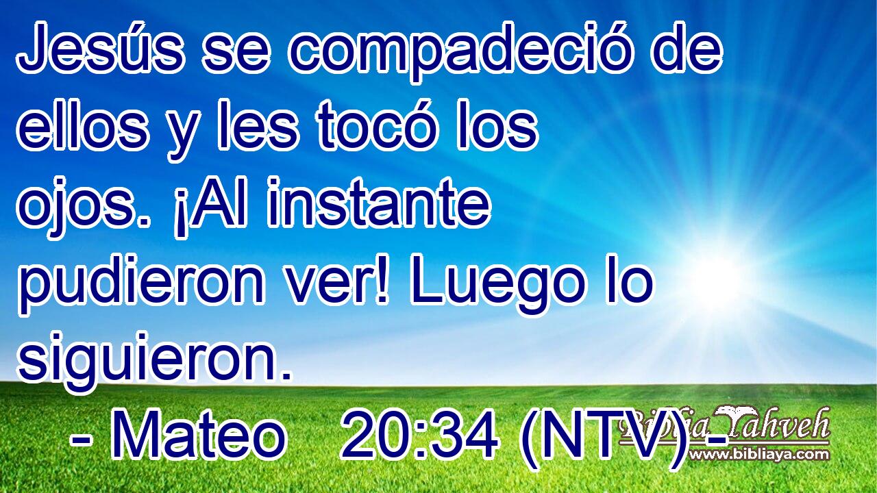Jesús se compadeció de ellos y les tocó los ojos. ¡Al instante pudieron ver! Luego lo siguieron.