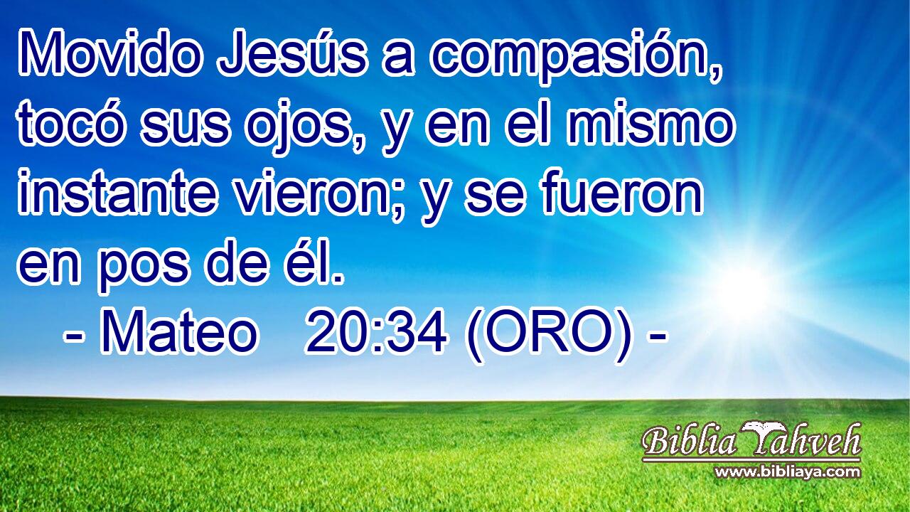  Movido Jesús a compasión, tocó sus ojos, y en el mismo instante vieron; y se fueron en pos de él. 
