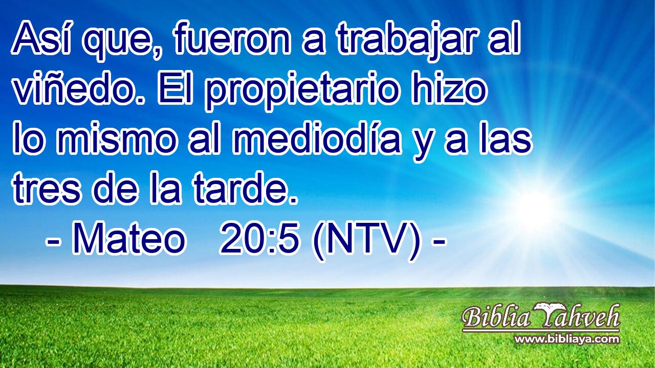 Así que, fueron a trabajar al viñedo. El propietario hizo lo mismo al mediodía y a las tres de la tarde.