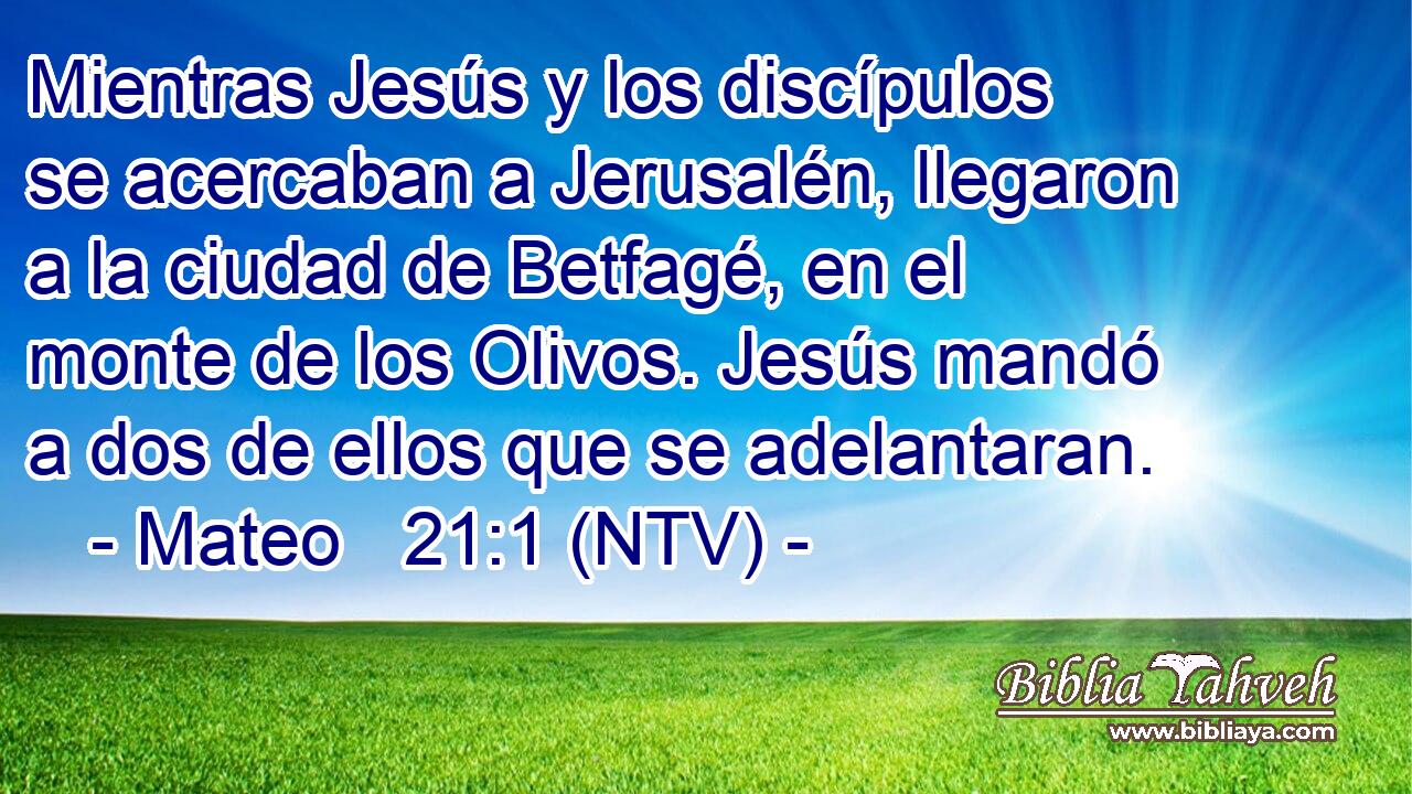 Mientras Jesús y los discípulos se acercaban a Jerusalén, llegaron a la ciudad de Betfagé, en el monte de los Olivos. Jesús mandó a dos de ellos que se adelantaran.