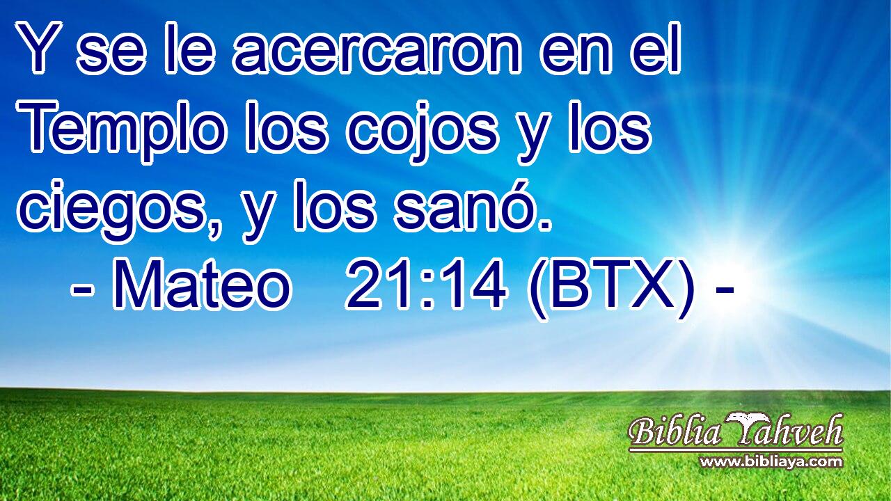 Y se le acercaron en el Templo los cojos y los ciegos, y los sanó.