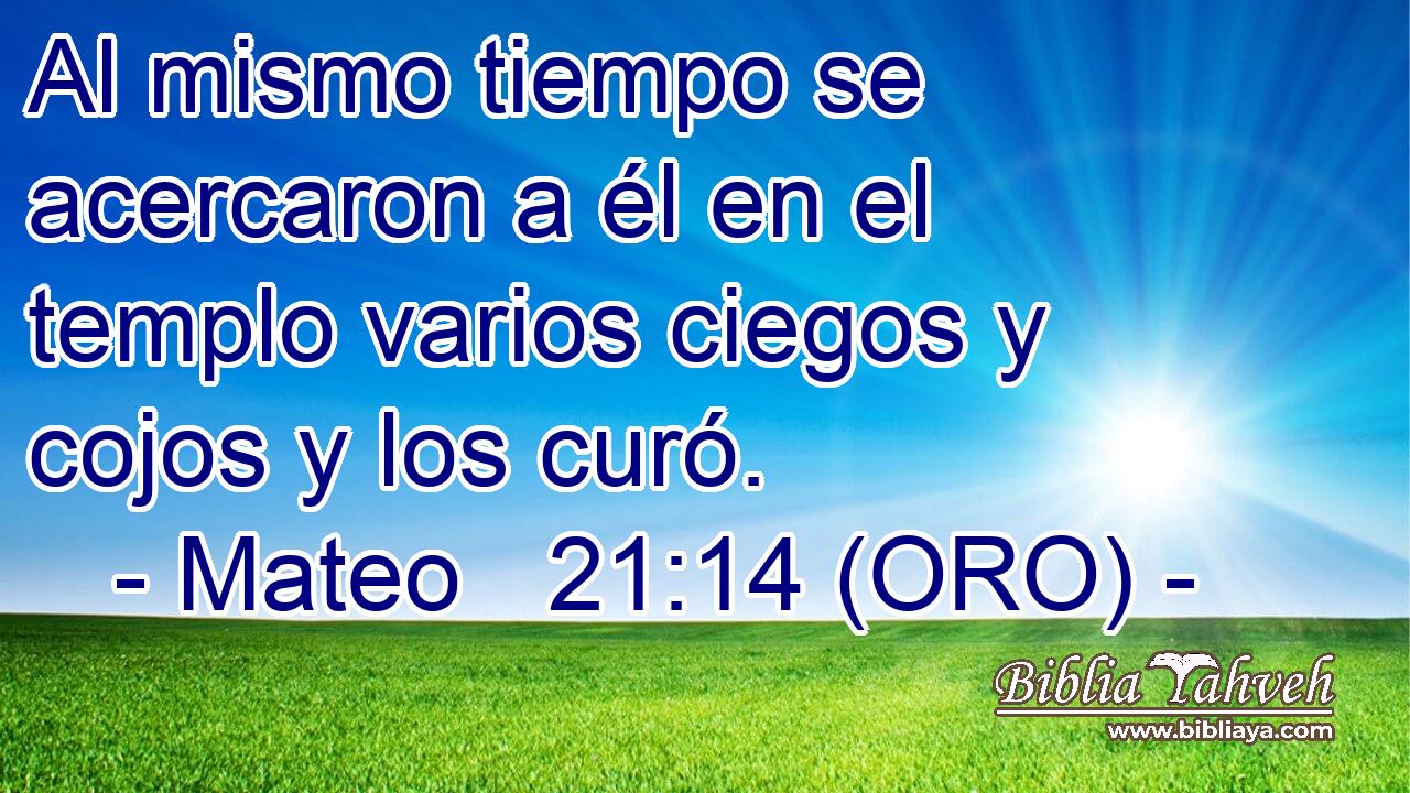  Al mismo tiempo se acercaron a él en el templo varios ciegos y cojos y los curó. 