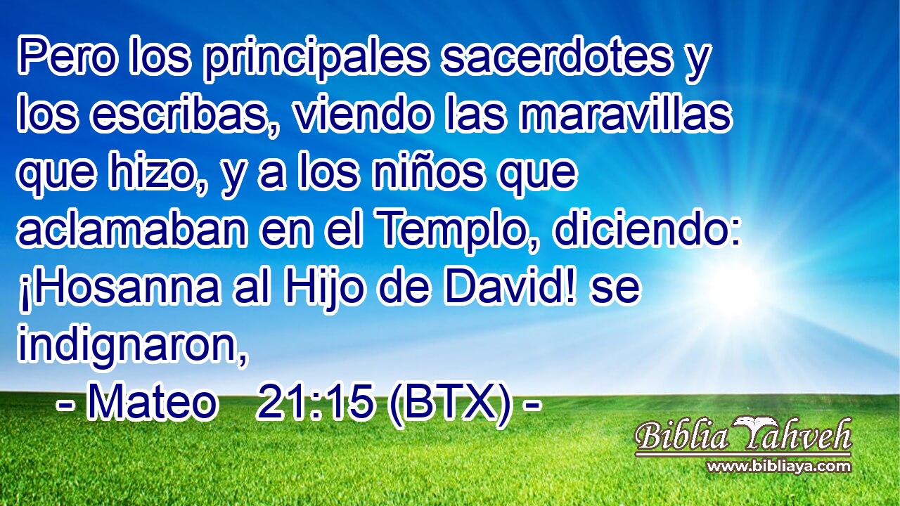 Pero los principales sacerdotes y los escribas, viendo las maravillas que hizo, y a los niños que aclamaban en el Templo, diciendo: ¡Hosanna al Hijo de David! se indignaron,
