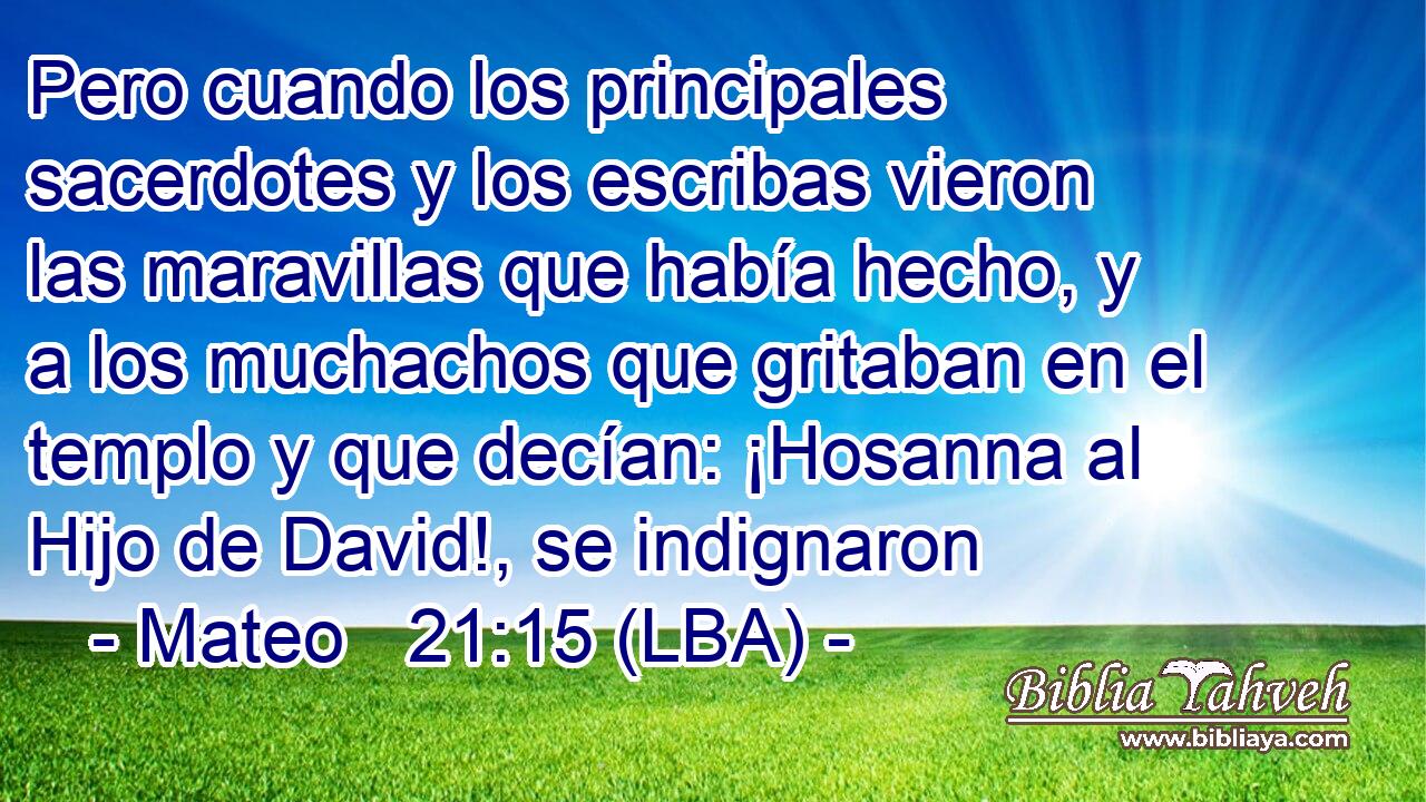 Pero cuando los principales sacerdotes y los escribas vieron las maravillas que había hecho, y a los muchachos que gritaban en el templo y que decían: ¡Hosanna al Hijo de David!, se indignaron