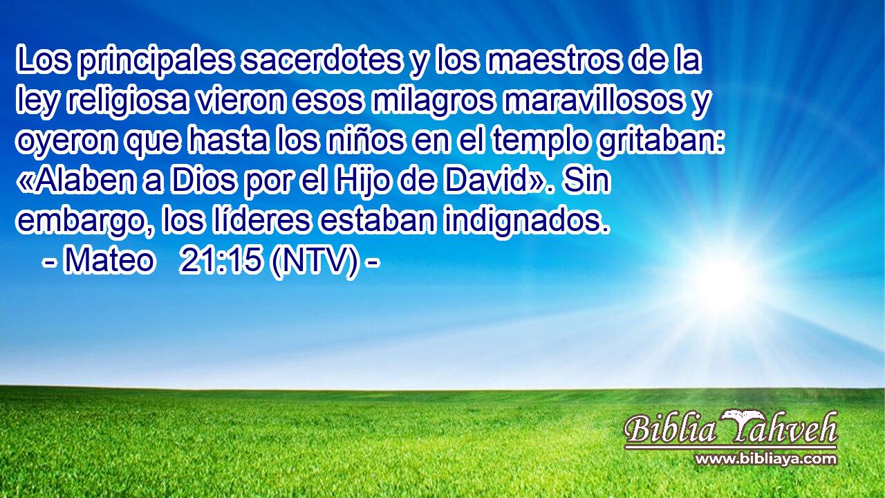 Los principales sacerdotes y los maestros de la ley religiosa vieron esos milagros maravillosos y oyeron que hasta los niños en el templo gritaban: «Alaben a Dios por el Hijo de David». Sin embargo, los líderes estaban indignados.