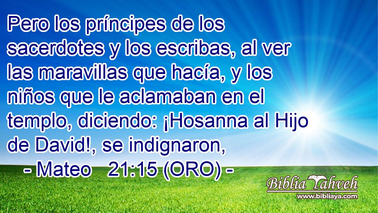  Pero los príncipes de los sacerdotes y los escribas, al ver las maravillas que hacía, y los niños que le aclamaban en el templo, diciendo: ¡Hosanna al Hijo de David!, se indignaron, 