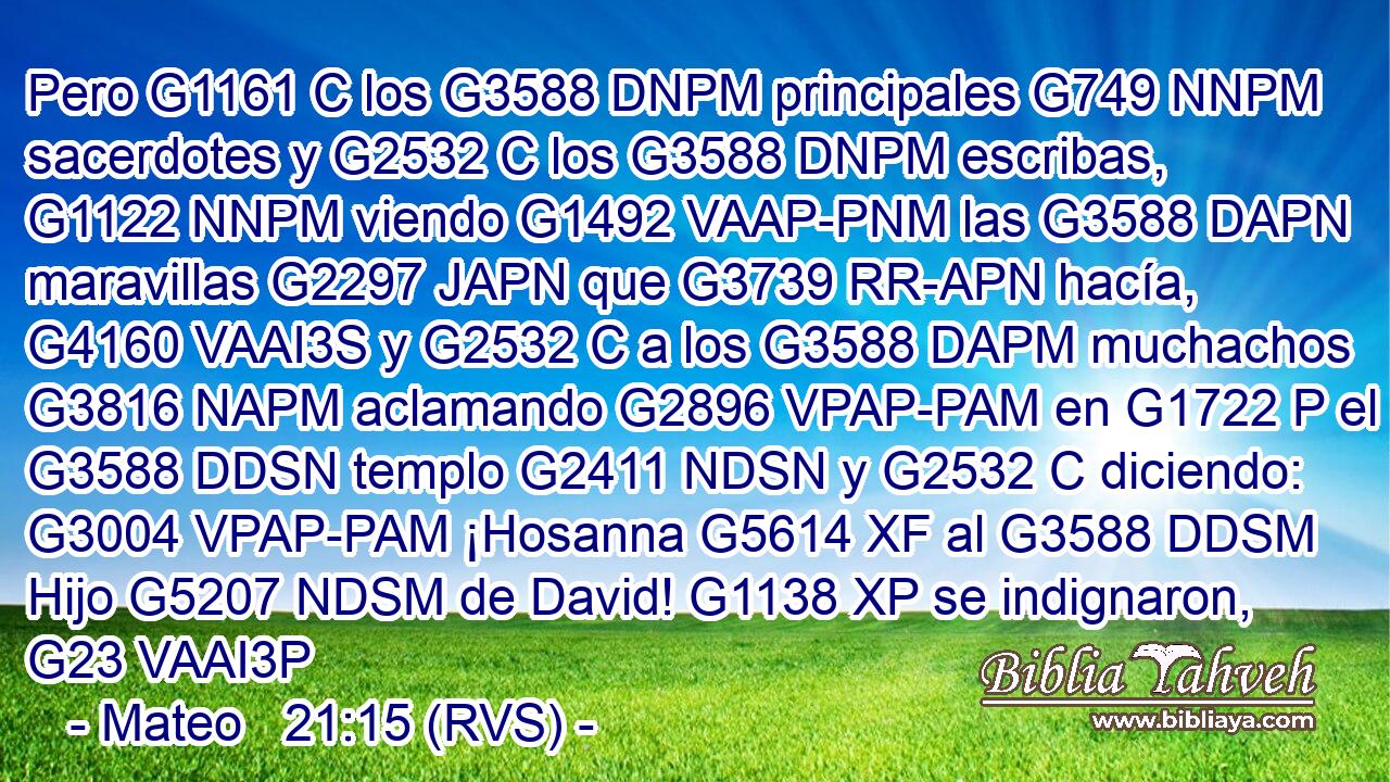 Pero G1161 C los G3588 DNPM principales G749 NNPM sacerdotes y G2532 C los G3588 DNPM escribas, G1122 NNPM viendo G1492 VAAP-PNM las G3588 DAPN maravillas G2297 JAPN que G3739 RR-APN hacía, G4160 VAAI3S y G2532 C a los G3588 DAPM muchachos G3816 NAPM aclamando G2896 VPAP-PAM en G1722 P el G3588 DDSN templo G2411 NDSN y G2532 C diciendo: G3004 VPAP-PAM ¡Hosanna G5614 XF al G3588 DDSM Hijo G5207 NDSM de David! G1138 XP se indignaron, G23 VAAI3P 