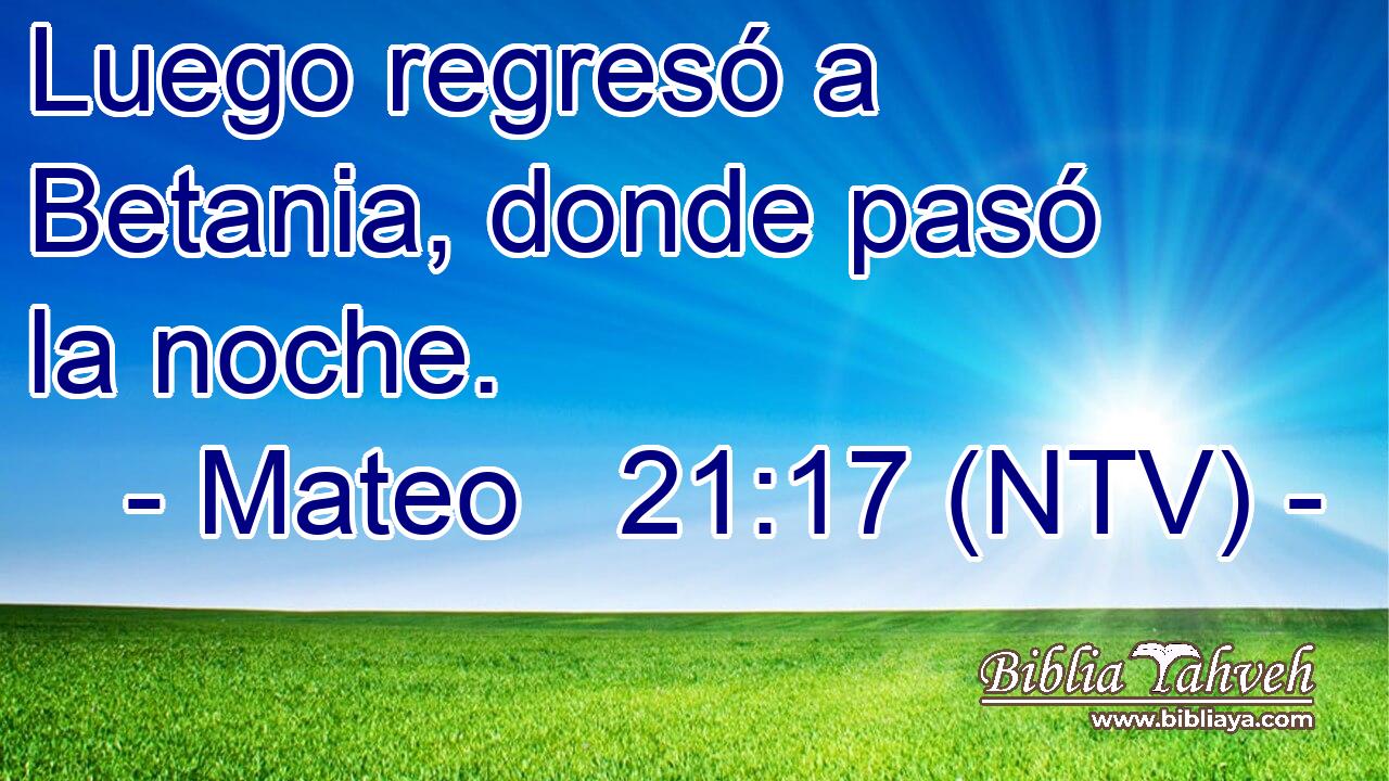Luego regresó a Betania, donde pasó la noche.