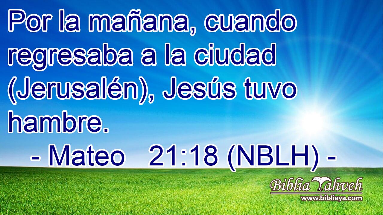  Por la mañana, cuando regresaba a la ciudad (Jerusalén), Jesús tuvo hambre. 