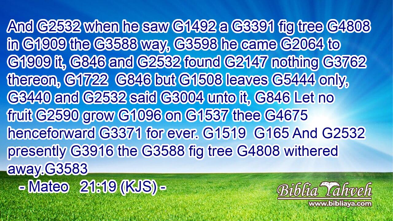 And G2532 when he saw G1492 a G3391 fig tree G4808 in G1909 the G3588 way, G3598 he came G2064 to G1909 it, G846 and G2532 found G2147 nothing G3762 thereon, G1722  G846 but G1508 leaves G5444 only, G3440 and G2532 said G3004 unto it, G846 Let no fruit G2590 grow G1096 on G1537 thee G4675 henceforward G3371 for ever. G1519  G165 And G2532 presently G3916 the G3588 fig tree G4808 withered away.G3583
