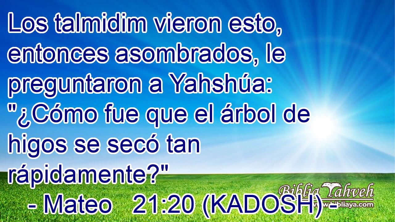  Los talmidim vieron esto, entonces asombrados, le preguntaron a Yahshúa: 