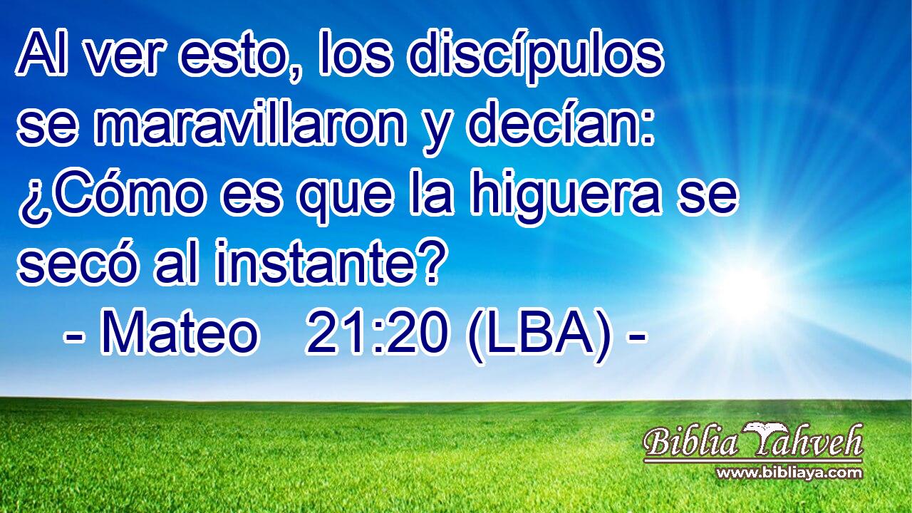 Al ver esto, los discípulos se maravillaron y decían: ¿Cómo es que la higuera se secó al instante?