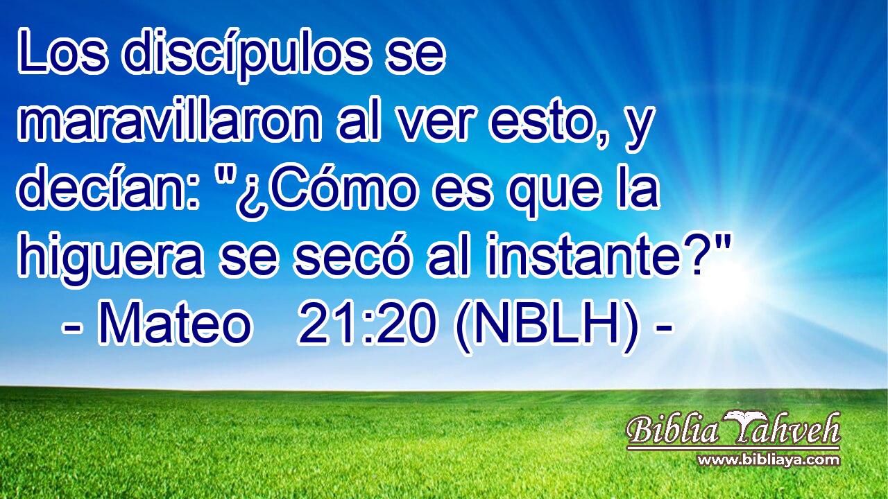  Los discípulos se maravillaron al ver esto, y decían: 