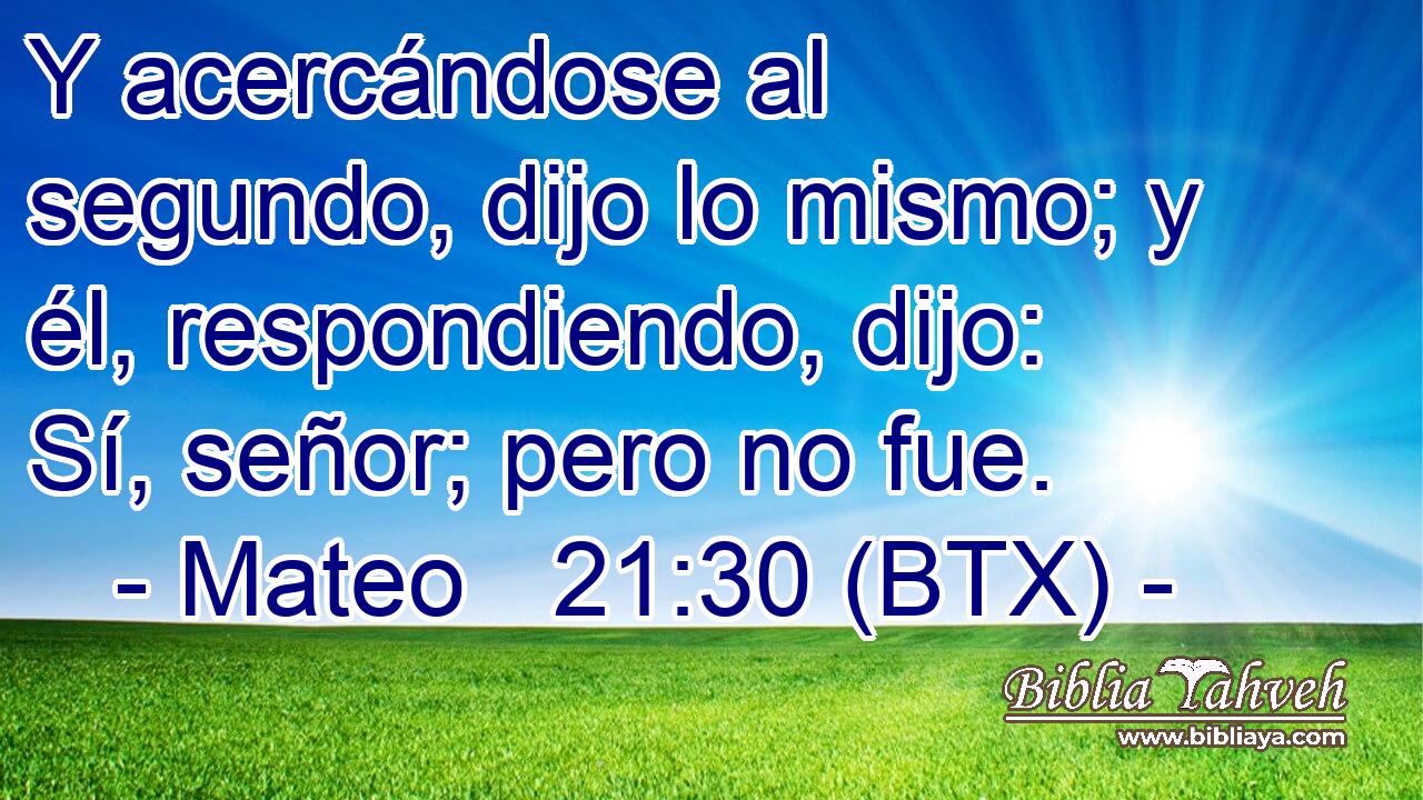 Y acercándose al segundo, dijo lo mismo; y él, respondiendo, dijo: Sí, señor; pero no fue.