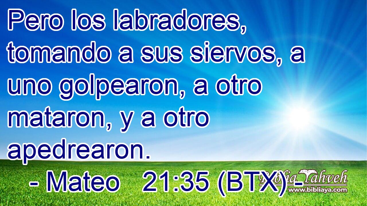 Pero los labradores, tomando a sus siervos, a uno golpearon, a otro mataron, y a otro apedrearon.